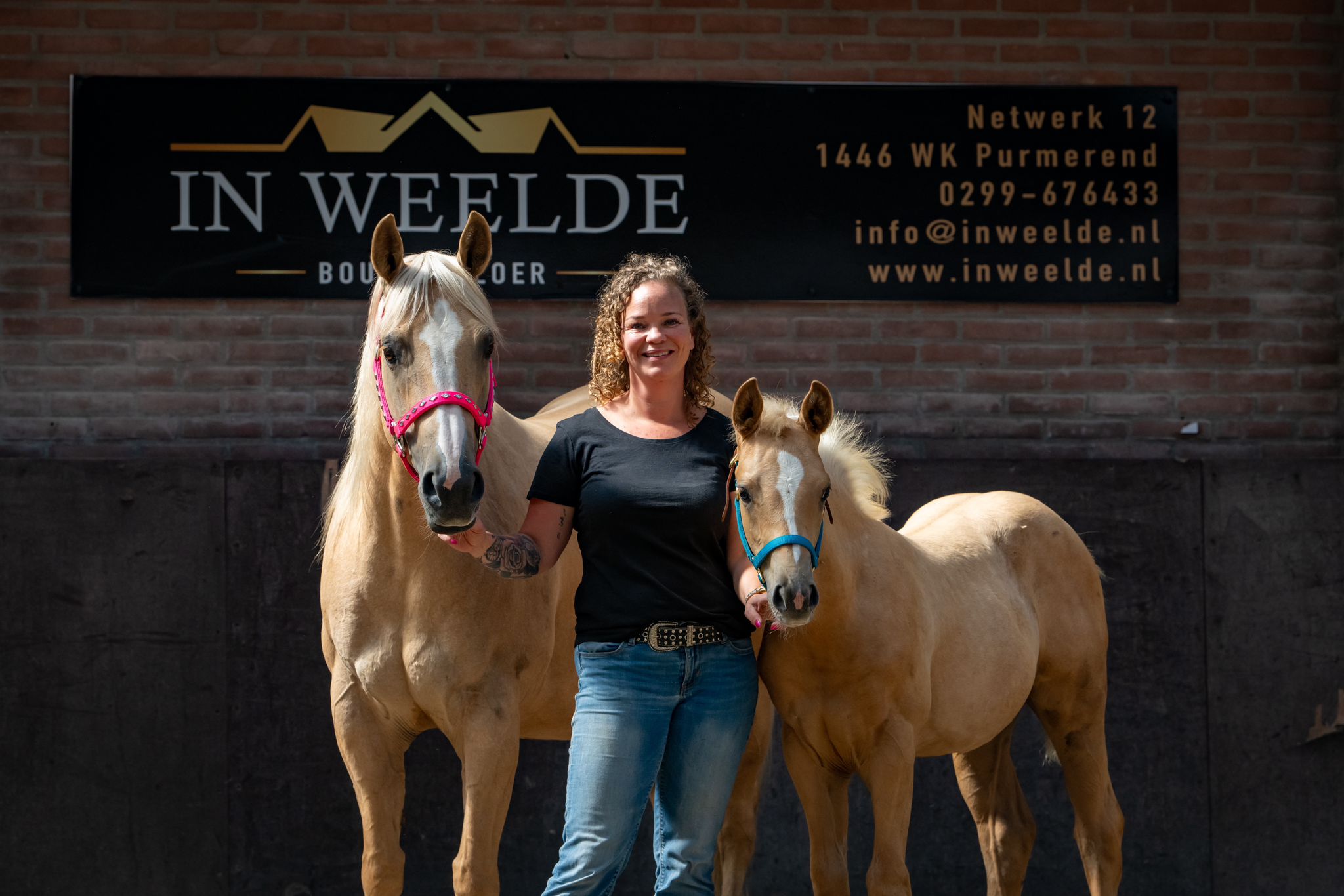 In Weelde is al meer dan 12 jaar een begrip in Purmerend op het gebied van bouwen, vloeren en trappen.