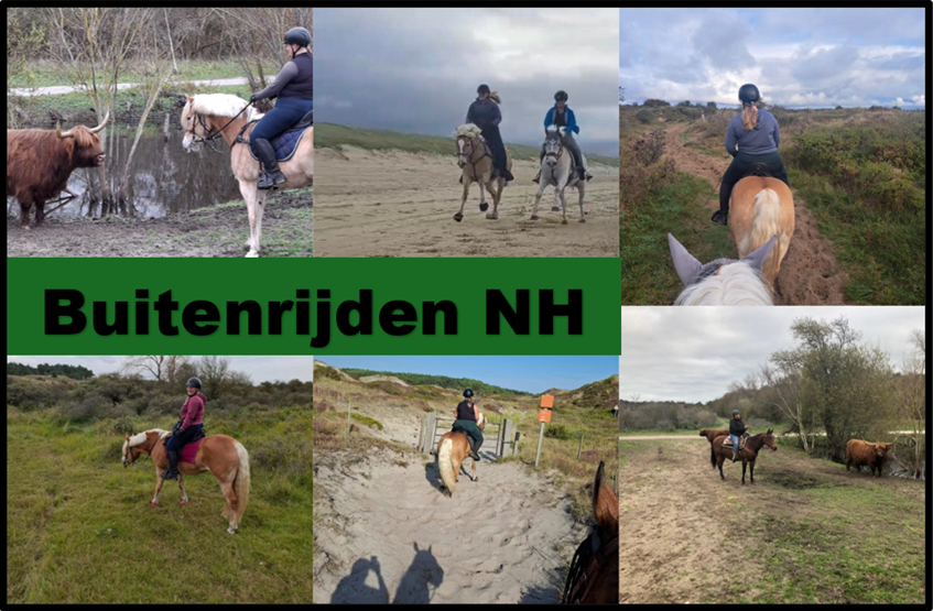 LOGO Buitenrijden NH